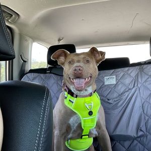 Meet your Posher, April